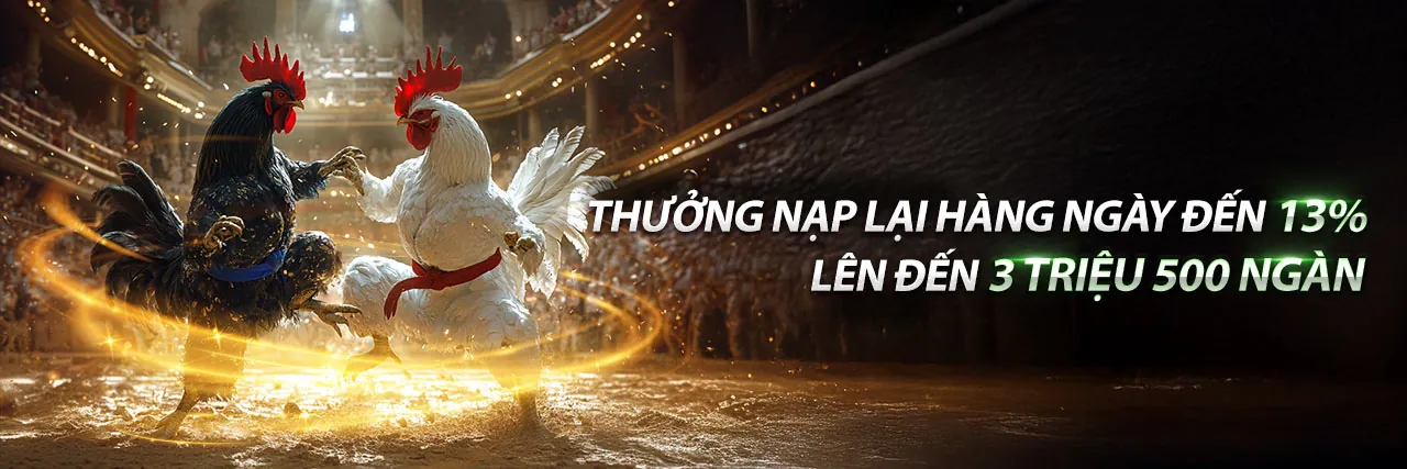 Đá Gà Trực Tuyến hi8823 app