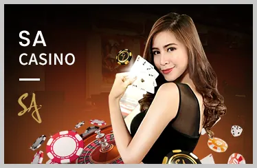 Đá Gà tại Hi8823 APP